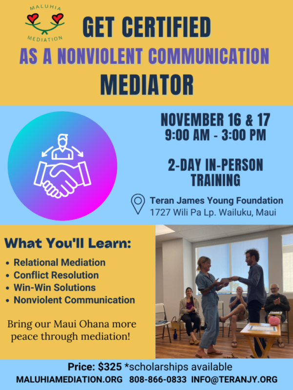 nvc mediation flyer 2024 (1080 x 1350 px)